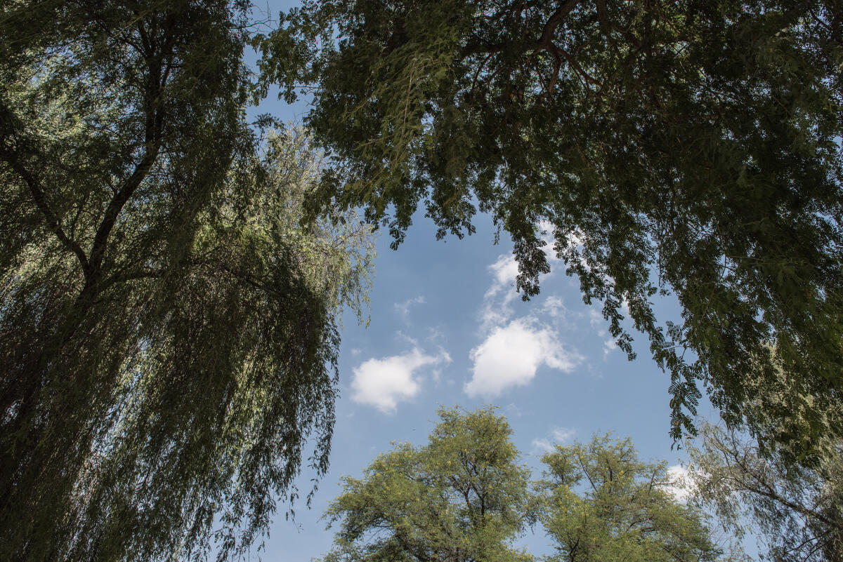 Sandra Zarneshan Tashkeel 58